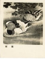 登錄號:KH2006.028.0008藏品圖，第5張