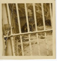 登錄號:KH2006.028.0008藏品圖，第7張