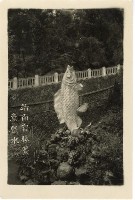 登錄號:KH2006.028.0008藏品圖，第13張