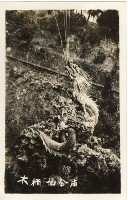 登錄號:KH2006.028.0008藏品圖，第15張