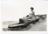 登錄號:KH2006.028.0008藏品圖，第110張