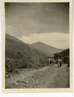 登錄號:KH2006.028.0008藏品圖，第130張