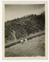 登錄號:KH2006.028.0008藏品圖，第140張