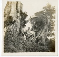 登錄號:KH2006.028.0008藏品圖，第149張