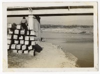 登錄號:KH2006.028.0008藏品圖，第178張