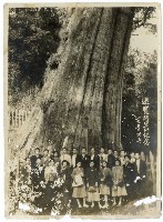 登錄號:KH2006.028.0008藏品圖，第205張