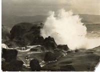 登錄號:KH2006.028.0008藏品圖，第210張