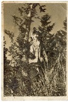 登錄號:KH2006.028.0008藏品圖，第219張