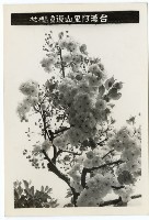 登錄號:KH2006.028.0008藏品圖，第220張