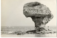 登錄號:KH2006.028.0008藏品圖，第241張