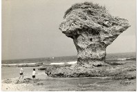 登錄號:KH2006.028.0008藏品圖，第242張