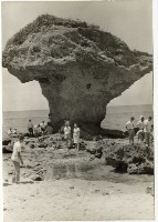 登錄號:KH2006.028.0008藏品圖，第244張