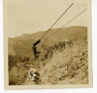 登錄號:KH2006.028.0009藏品圖，第13張