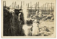 登錄號:KH2006.028.0009藏品圖，第23張