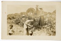 登錄號:KH2006.028.0009藏品圖，第31張