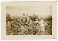 登錄號:KH2006.028.0009藏品圖，第32張