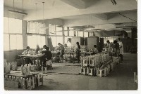 登錄號:KH2006.028.0009藏品圖，第45張