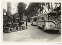 登錄號:KH2006.028.0009藏品圖，第56張