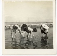 登錄號:KH2006.028.0009藏品圖，第131張