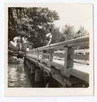 登錄號:KH2006.028.0009藏品圖，第135張