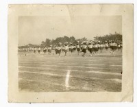 登錄號:KH2006.028.0009藏品圖，第137張