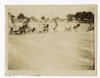 登錄號:KH2006.028.0009藏品圖，第139張