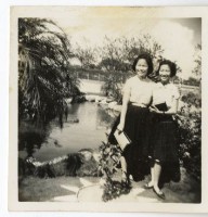 登錄號:KH2006.028.0009藏品圖，第146張