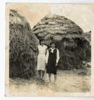 登錄號:KH2006.028.0009藏品圖，第171張