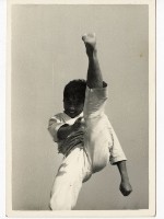 登錄號:KH2006.028.0009藏品圖，第175張