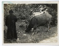 登錄號:KH2006.028.0009藏品圖，第183張