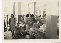 登錄號:KH2006.028.0009藏品圖，第193張