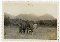 登錄號:KH2006.028.0009藏品圖，第199張