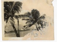 登錄號:KH2006.028.0009藏品圖，第221張