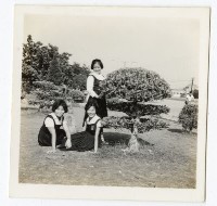 登錄號:KH2006.028.0009藏品圖，第237張