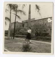 登錄號:KH2006.028.0009藏品圖，第239張