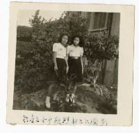 登錄號:KH2006.028.0009藏品圖，第241張