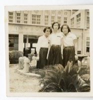 登錄號:KH2006.028.0009藏品圖，第245張