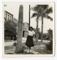 登錄號:KH2006.028.0009藏品圖，第247張