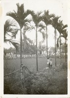 登錄號:KH2006.028.0011藏品圖，第7張