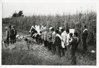 登錄號:KH2006.028.0011藏品圖，第10張