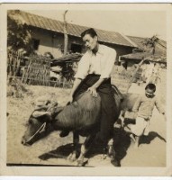 登錄號:KH2006.028.0012藏品圖，第16張