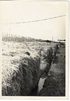 登錄號:KH2006.028.0018藏品圖，第21張