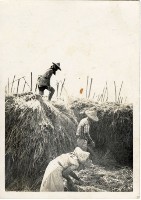 登錄號:KH2006.028.0018藏品圖，第23張