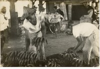 登錄號:KH2006.028.0018藏品圖，第25張