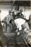 登錄號:KH2006.028.0018藏品圖，第27張