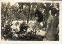 登錄號:KH2006.028.0018藏品圖，第45張