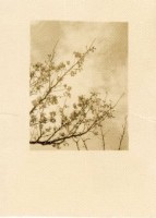 登錄號:KH2006.028.0018藏品圖，第101張