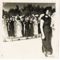 登錄號:KH2006.028.0018藏品圖，第175張