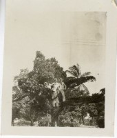 登錄號:KH2006.028.0018藏品圖，第201張