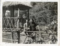 登錄號:KH2006.028.0018藏品圖，第243張